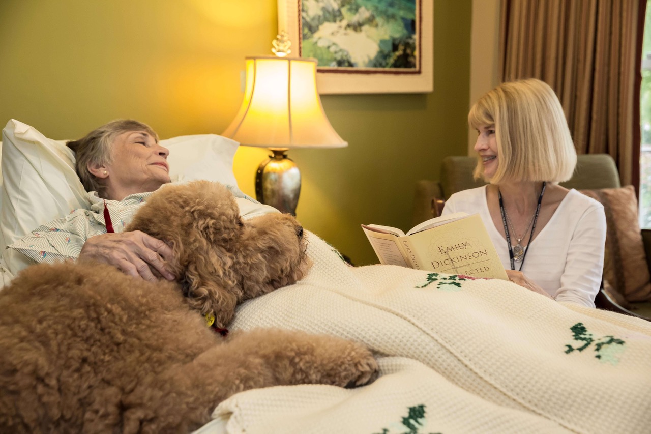 Photo of a woman reading a book to a patient in bed.